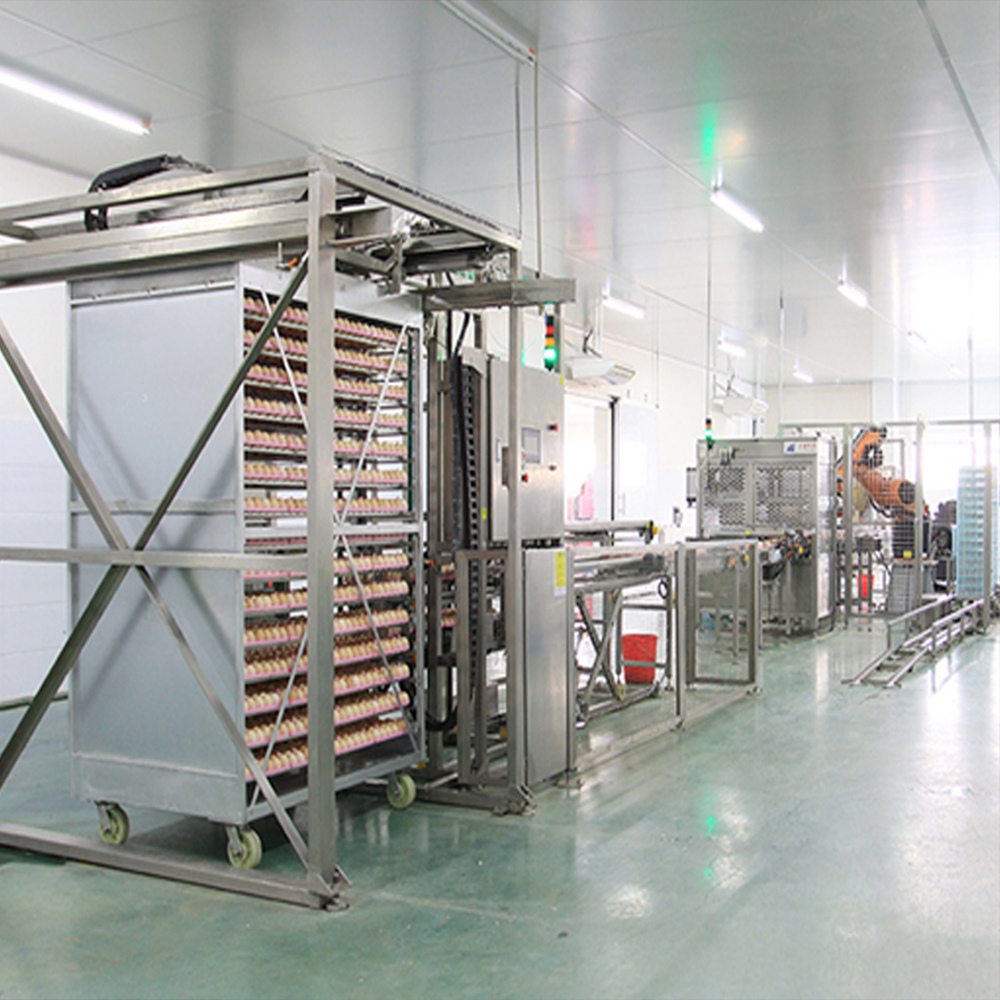 Egg processing system