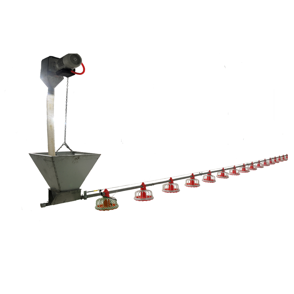 Pan feeding line system