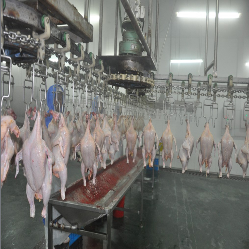 evisceration trough-EVISCERATION-CHINA TURNKEY PROJECT SOLUTION PROVIDER  FOR POULTRY INDUSTRY