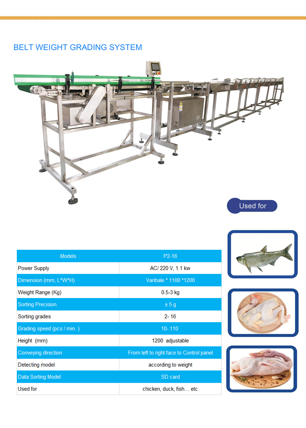 Belt weighing machine.jpg