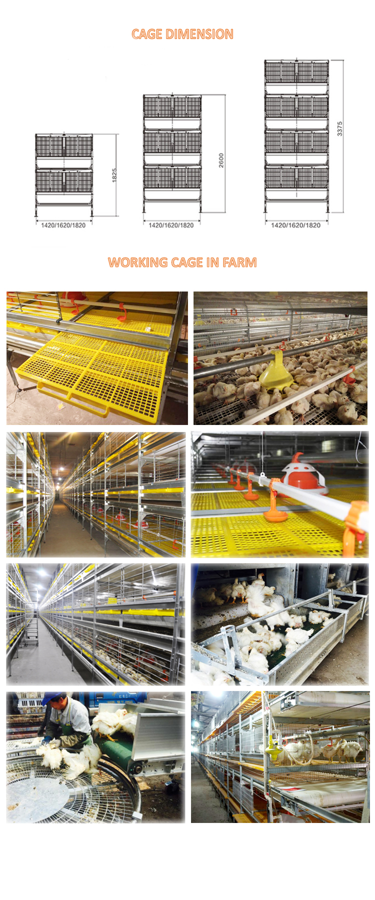 1644311055128544.jpg broiler cage automatic move out.jpg