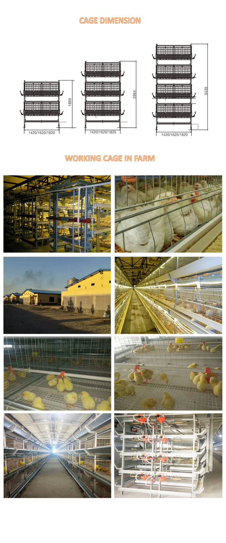 broiler cage 750 manual move out feeding machine.jpg