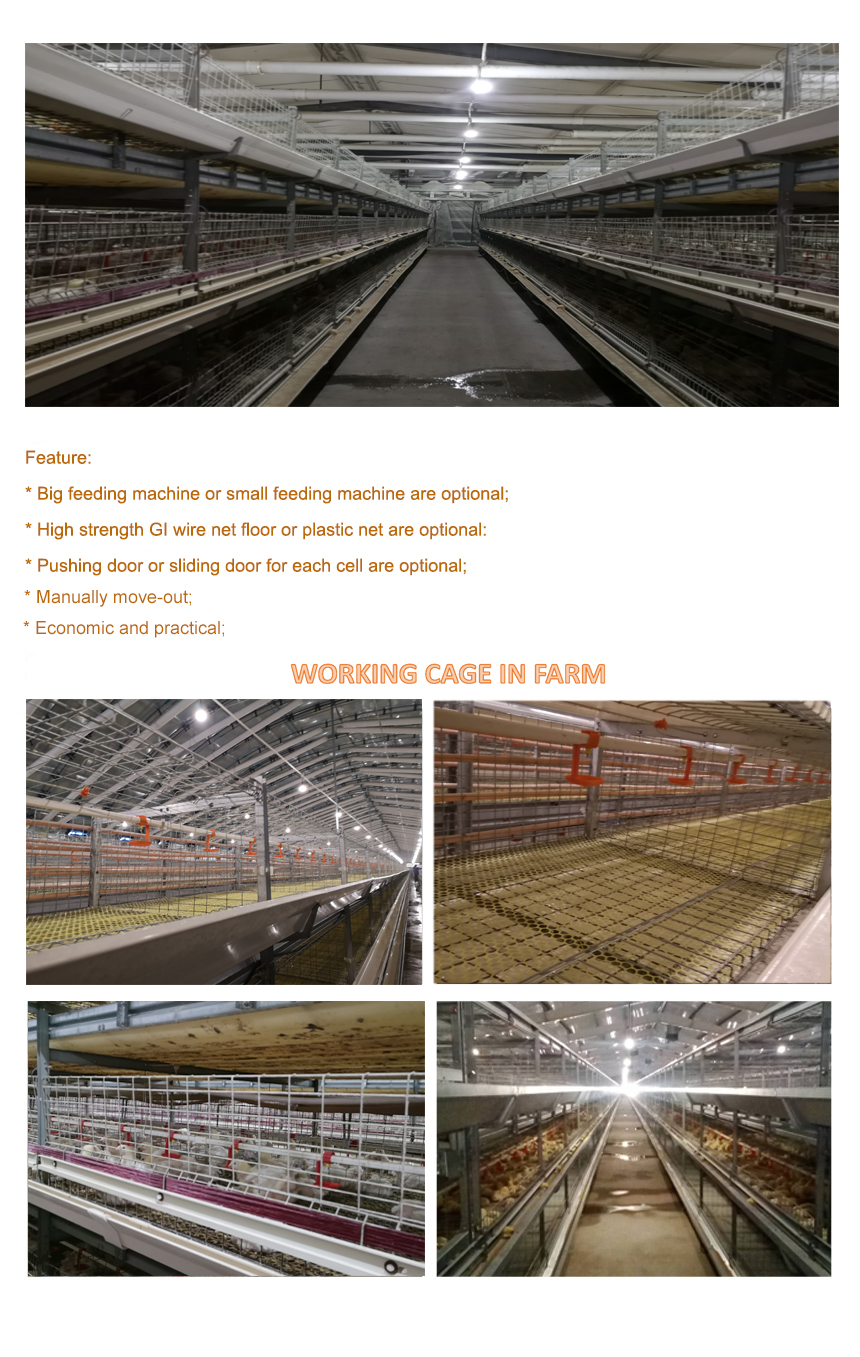 1644319486369795.jpg Economic broiler cage 750.jpg